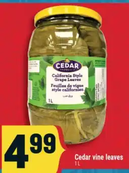 Marché Adonis Cedar vine leaves offer