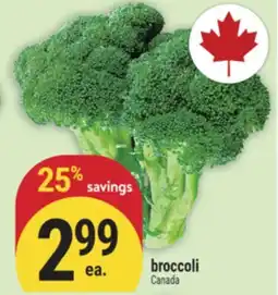 Marché Adonis broccoli offer