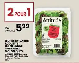 Rachelle-Bery Grocery ORGANIC BABY SPINACH, ARUGULA, OR SPRING MIX offer