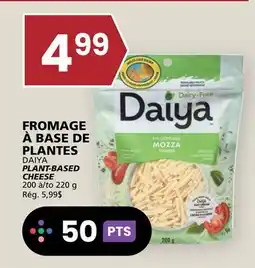 Rachelle-Bery Grocery DAIYA PLANT-BASED CHEESE offer
