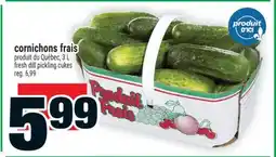 Super C cornichons frais | fresh dill pickling cukes offer