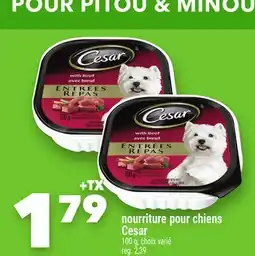 Marche Ami nourriture pour chiens Cesar offer