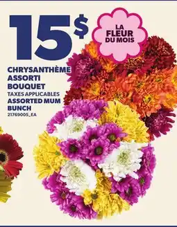 Provigo CHRYSANTHÈME ASSORTI BOUQUET | ASSORTED MUM BUNCH offer