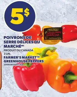 Provigo POIVRONS DE SERRE DÉLICES DU MARCHÉ | FARMER'S MARKET GREENHOUSE PEPPERS, 3 UN offer