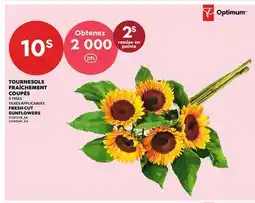 Provigo TOURNESOLS FRAÎCHEMENT COUPÉS | FRESH CUT SUNFLOWERS, 5 TIGES offer