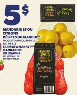 Provigo MANDARINES OU CITRONS DÉLICES DU MARCHÉ | FARMER'S MARKET MANDARINS OR LEMONS, SAC DE 2 LB offer