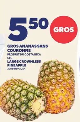 Provigo GROS ANANAS SANS COURONNE | LARGE CROWNLESS PINEAPPLE offer