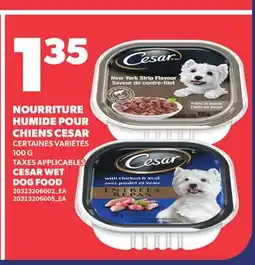 Provigo NOURRITURE HUMIDE POUR CHIENS CESAR | CESAR WET DOG FOOD offer