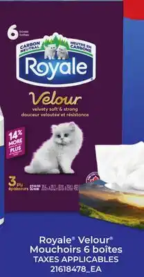 Provigo Royale Velour Mouchoirs 6 boîtes offer