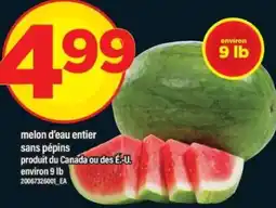 Maxi MELON D'EAU ENTIER SANS PÉPINS offer