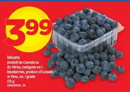 Maxi bleuets offer