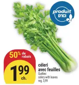 Marché Adonis CÉLERI AVEC FEUILLES | CELERY WITH LEAVES offer