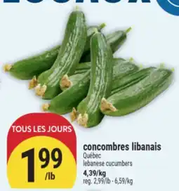 Marché Adonis CONCOMBRES LIBANAIS | LEBANESE CUCUMBERS offer