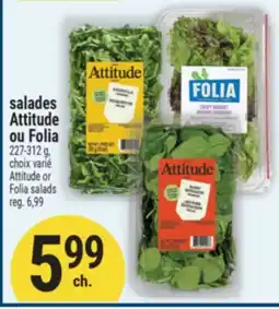 Marché Adonis SALADES ATTITUDE OU FOLIA | ATTITUDE OR FOLIA SALADS offer