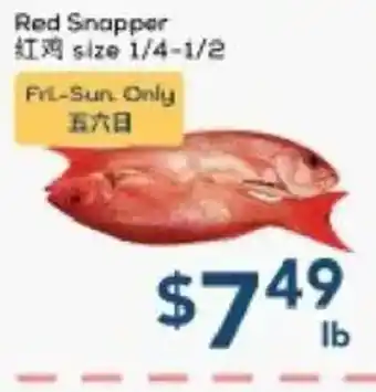 Red Snapper