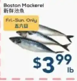 Oceans Fresh Food Market Boston Mackerel offer