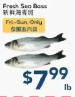 Oceans Fresh Food Market Fresh Sea Bass offer