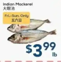 Oceans Fresh Food Market Indian Mackerel offer