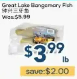 Oceans Fresh Food Market Great Lake Bangamary Fish offer