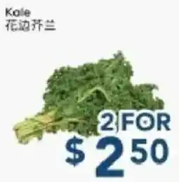 Oceans Fresh Food Market Kale offer