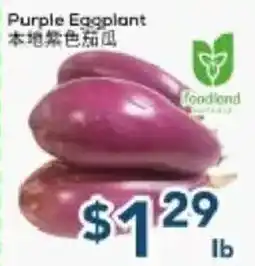 Oceans Fresh Food Market Purple Eggplant offer