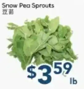 Oceans Fresh Food Market Snow Pea Sprouts offer