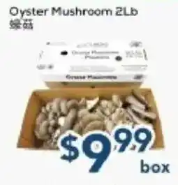 Oceans Fresh Food Market Oyster Mushroom offer