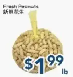 Oceans Fresh Food Market Fresh Peanuts offer