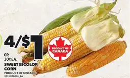 Loblaws SWEET BICOLOR CORN offer