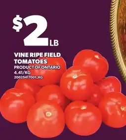 Loblaws VINE RIPE FIELD TOMATOES offer