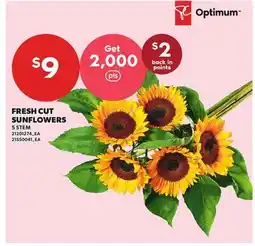 Loblaws FRESH CUT SUNFLOWERS, 5 STEM offer