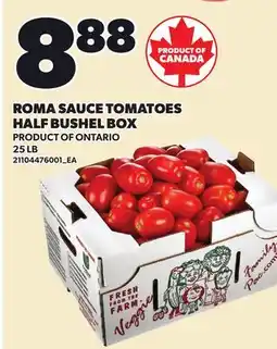 Loblaws ROMA SAUCE TOMATOES HALF BUSHEL BOX, 25 LB offer