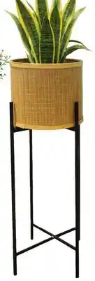 Sushi Shop Tall metal Planter with Pot offer
