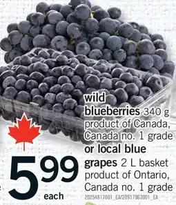 Fortinos WILD BLUEBERRIES, 340 G OR OR LOCAL BLUE GRAPES, 2 L BASKET offer