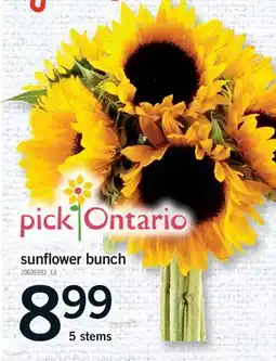 Fortinos SUNFLOWER BUNCH, 5 STEMS offer
