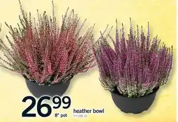 Fortinos HEATHER BOWL, 8 POT offer