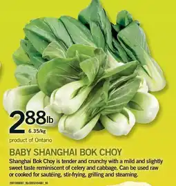 Fortinos BABY SHANGHAI BOK CHOY offer