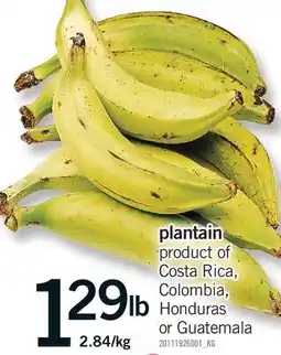 Fortinos PLANTAIN offer