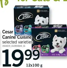 Fortinos CESAR CANINE CUISINE offer