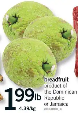 Fortinos BREADFRUIT offer