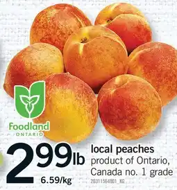 Fortinos LOCAL PEACHES offer