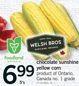 Fortinos CHOCOLATE SUNSHINE YELLOW CORN, 5'S offer