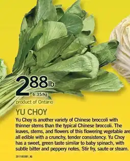 Fortinos YU CHOY offer