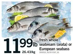 Fortinos FRESH WHOLE SEABREAM (ORATA) OR EUROPEAN SEABASS offer