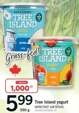 Fortinos TREE ISLAND YOGURT offer