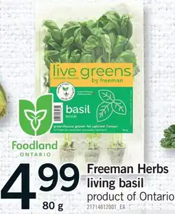 Fortinos FREEMAN HERBS LIVING BASIL offer