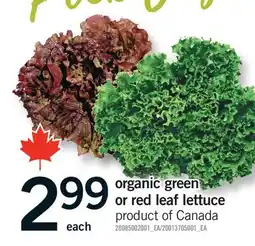 Fortinos ORGANIC GREEN OR RED LEAF LETTUCE offer