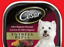 Metro CESAR WET DOG FOOD offer