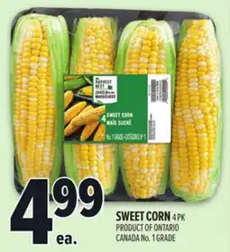 Metro SWEET CORN offer