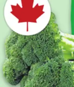 Metro ORGANIC BROCCOLI ORGANIC ANGEL SWEET TOMATOES offer